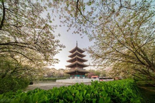 武汉市十大免费景点排行榜(武汉市内十大景点大全)插图18