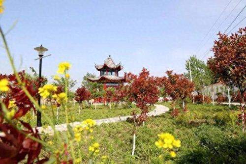 砀山县十大首富排行榜最新(砀山首富李西廷的房子)插图4