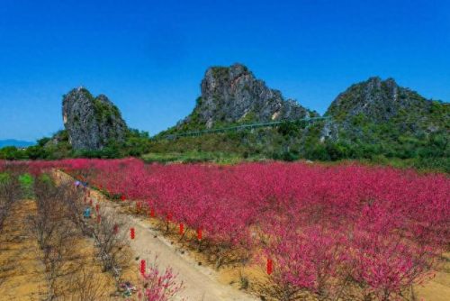 阳春旅游(阳春旅游景点)插图47