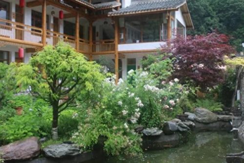 陇南景区十大排行榜酒店(陇南兴潮酒店)插图44