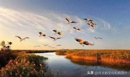 河北省排名前十的歌曲是(河北最著名歌曲)插图1