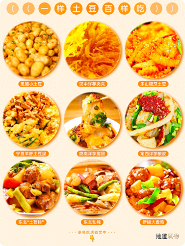 土豆产地(土豆什么时候传入中国)插图2