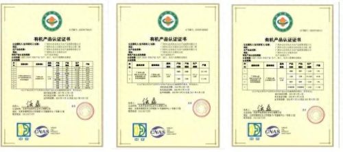 冬奥会水果排名前十(冬奥会创意水果)插图16 冬奥会水果排名前十(冬奥会创意水果)插图16