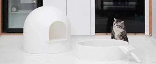 中国猫窝垫十大品牌排行榜(中国猫窝垫十大品牌)插图46 中国猫窝垫十大品牌排行榜(中国猫窝垫十大品牌)插图46