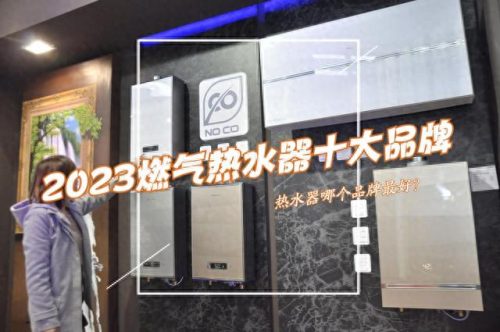林内热水器排名前十(林内哪个系列最好)插图1