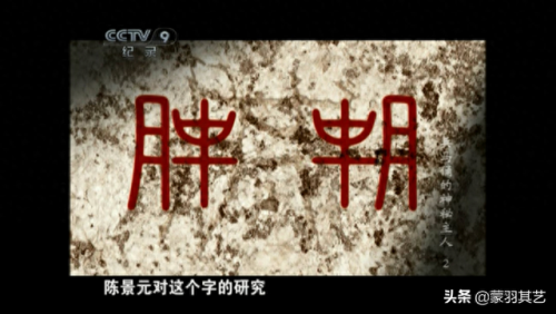 央视十大优秀纪录片排行榜(央视十部顶级纪录片)插图11