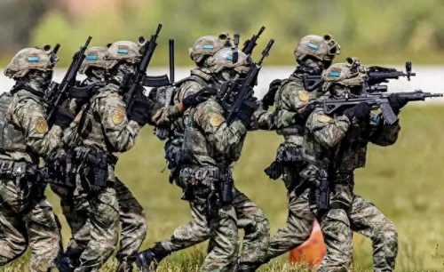 特种兵训练学校排名前十(特种兵学校动画片)插图14