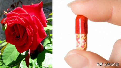 日本十大搞笑东西排行榜(日本沙雕搞笑视频)