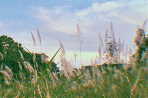 抖音十大翻唱曲目排行榜(小蚊子抖音翻唱)插图3