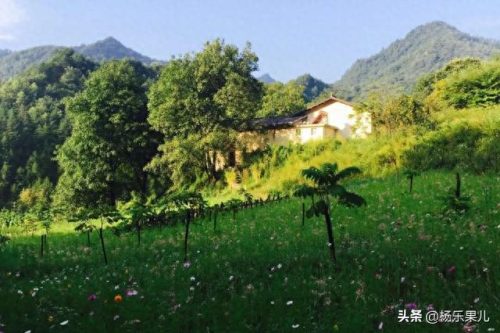 商洛市十大景区排行榜(淄博十大免费景区)插图37