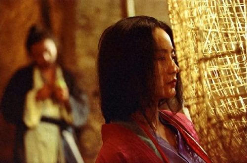 近十年十大武侠电影排行榜(历年十大武侠电影)插图46