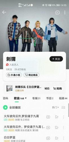 中国十大最好的乐队排行榜(国内知名的乐队排行榜)插图16