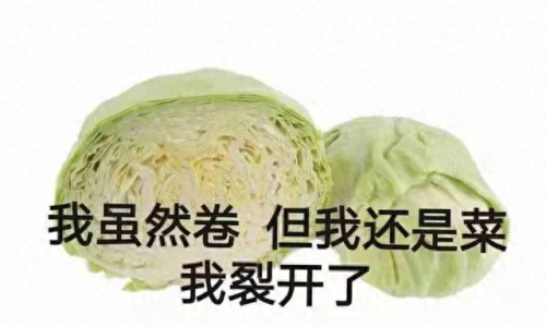 十大中国名歌排行榜(十大名歌最新排名)插图6