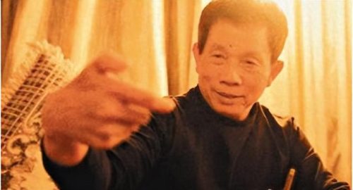 十大不火功夫明星排行榜(功夫明星蘑菇头是谁)插图12