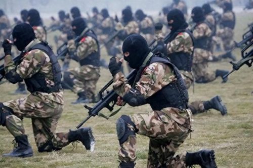 特种兵训练学校排名前十(特种兵学校动画片)插图15