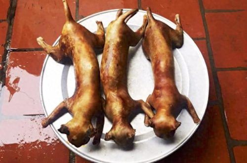 十大奇葩美食排行榜前十名(十大奇葩美食大全)插图9