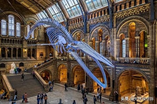 英国海事博物馆排名前十(英国十大博物馆排行榜)插图2