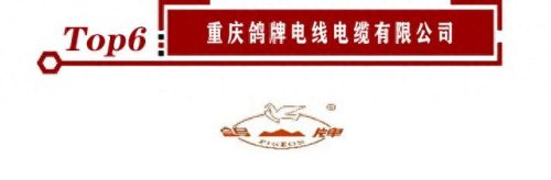 中国电缆骨干厂家排名前十(国内电缆最好的厂家)插图6