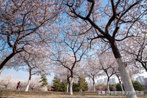 西安十大不坑景点排行榜(西安必打卡十大网红)插图68