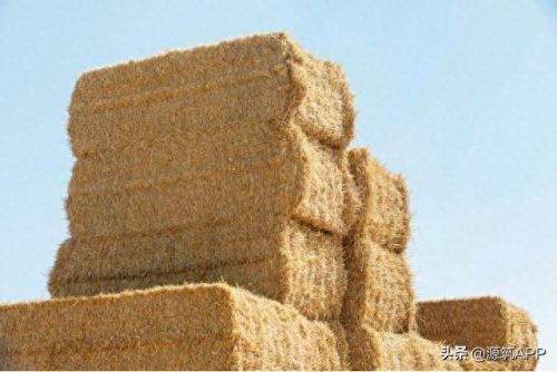 国外建筑材料企业排名前十(国外建筑材料需求量排行)插图6