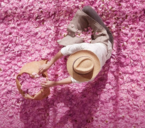 迪奥真我系列(女士香水推荐哪款好闻)插图17 迪奥真我系列(女士香水推荐哪款好闻)插图17