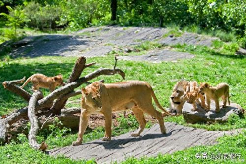 山东城市户外排名前十(山东省沙滩排名)