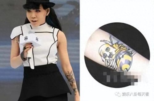 中国好声音吴莫愁(吴莫愁冠军之夜)插图2