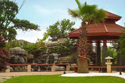 昆山小院绿植销售排名前十(昆山花桥绿植批发排名)