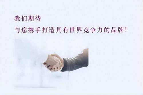 中国十大广告公司排行榜(央视十大唯美广告)插图11