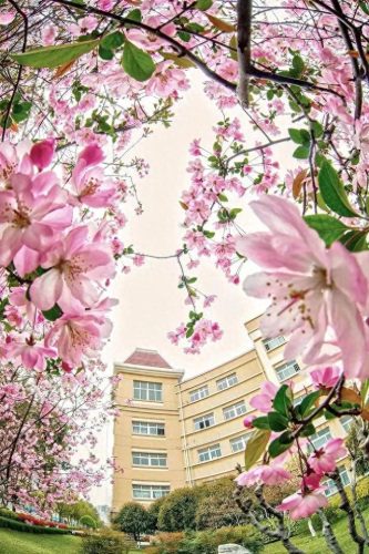 南京中专排名前十位专业(南京理工最差十大专业)插图8 南京中专排名前十位专业(南京理工最差十大专业)插图8