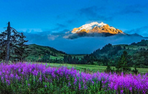 理塘县大型企业排名前十(理塘县企业排名前十)插图 理塘县大型企业排名前十(理塘县企业排名前十)插图