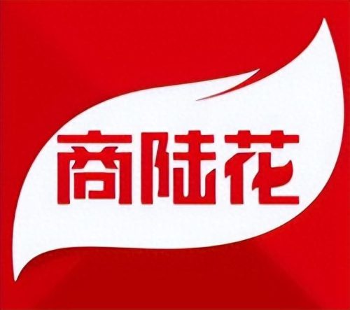 河南门店管理系统排名前十(郑州专业门店管理系统)插图5