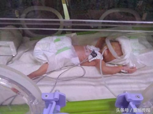 许昌消毒机排名前十(沧州消毒机排名)插图1 许昌消毒机排名前十(沧州消毒机排名)插图1