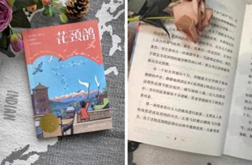 教育类十大小说排行榜(小女孩被哥哥爸爸教育的小说)插图18