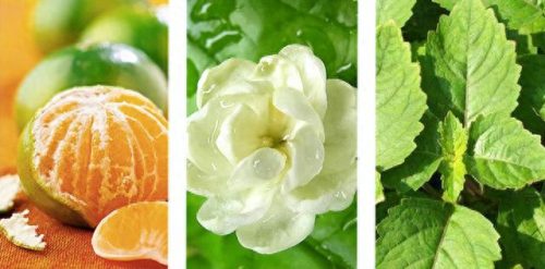 迪奥真我系列(女士香水推荐哪款好闻)插图30 迪奥真我系列(女士香水推荐哪款好闻)插图30