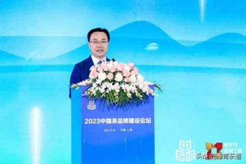 十大茶叶产品排行榜前十名(过期茶叶十大妙用)插图2