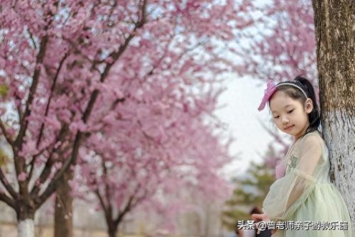 西安十大不坑景点排行榜(西安必打卡十大网红)插图67