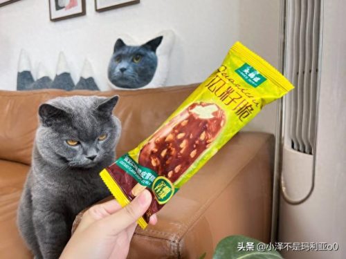 十大高价雪糕排行榜实体店(十大宝藏雪糕盘点)插图24 十大高价雪糕排行榜实体店(十大宝藏雪糕盘点)插图24