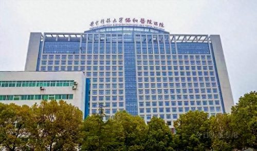 湖北互联网医院排名前十(湖北最好的互联网医院)