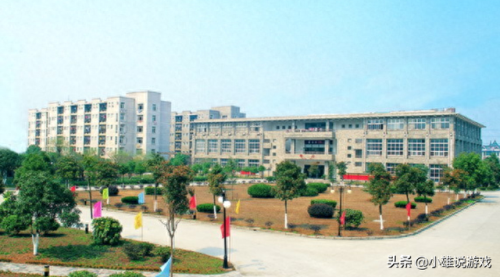 青岛西青区初中排名前十(青岛市辖区初中排名前十名)