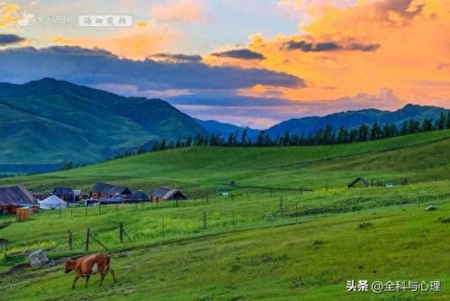 避暑旅游景点大全排名前十(同安避暑网红景点)插图40
