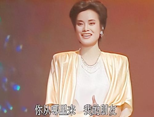 十大专业女歌手排行榜最新(网红歌手女名单)插图36