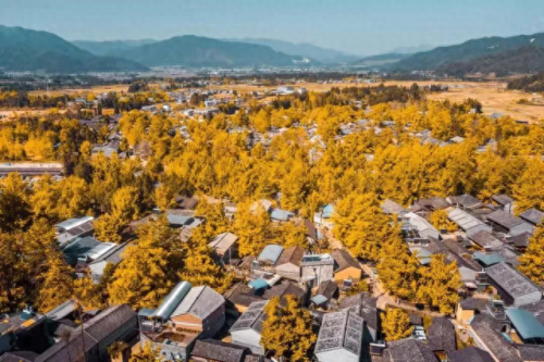 云南文旅行业排名前十(云南文旅厅最新消息)插图5 云南文旅行业排名前十(云南文旅厅最新消息)插图5