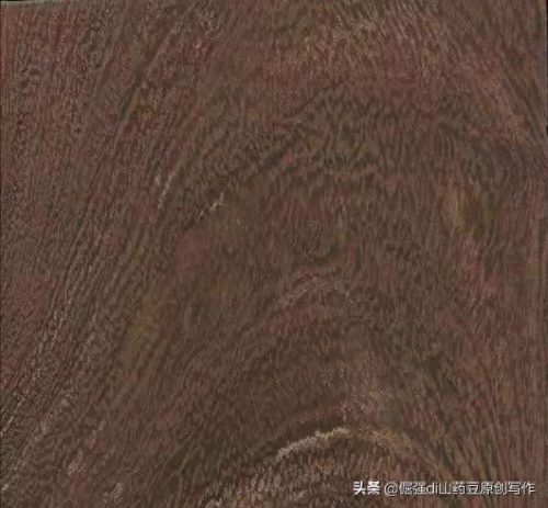 中国十大硬木头排行榜(最重的木头十大排名)插图4