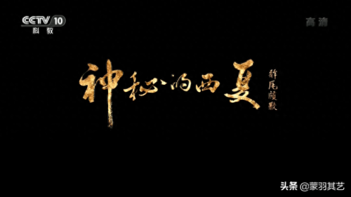 央视十大优秀纪录片排行榜(央视十部顶级纪录片)插图15