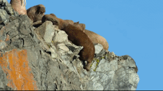 世界十大神剧经典排行榜(全球十大新剧排行榜)插图28 世界十大神剧经典排行榜(全球十大新剧排行榜)插图28