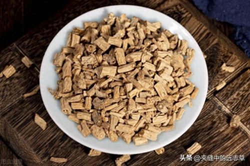 中药减脂药排名前十图片(减脂药十强排行榜)插图7 中药减脂药排名前十图片(减脂药十强排行榜)插图7