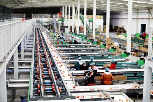 威宁家具公司排名前十(在威宁买家具去哪里)插图2 威宁家具公司排名前十(在威宁买家具去哪里)插图2