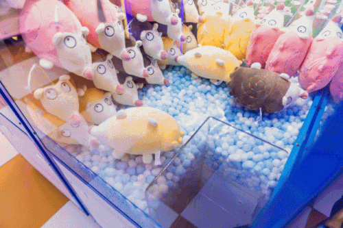 漳州十大游乐园排行榜图片(漳州游乐场排行榜)插图16 漳州十大游乐园排行榜图片(漳州游乐场排行榜)插图16