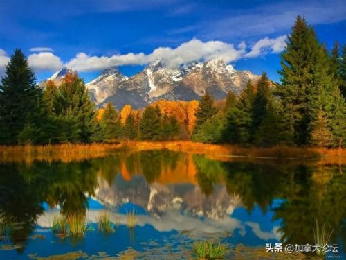 加拿大野外旅游排名前十(加拿大必去景点排名)插图7 加拿大野外旅游排名前十(加拿大必去景点排名)插图7